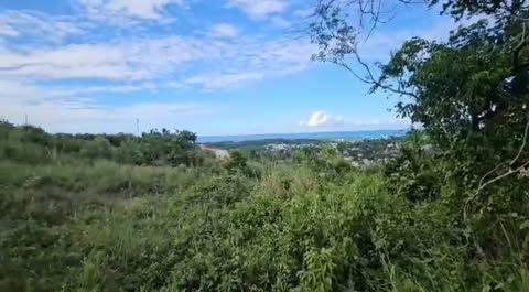 Las Terrenas – For sale by owner 10764 ft2 (1000 mt2) land plot with title