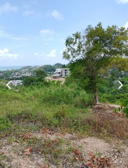Las Terrenas – For sale by owner 10764 ft2 (1000 mt2) land plot with title