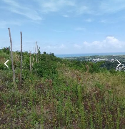 Las Terrenas – For sale by owner 10764 ft2 (1000 mt2) land plot with title